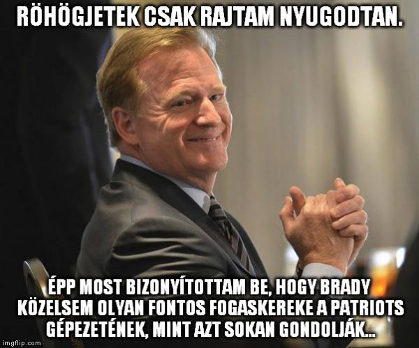 pats-goodell-meme.jpg